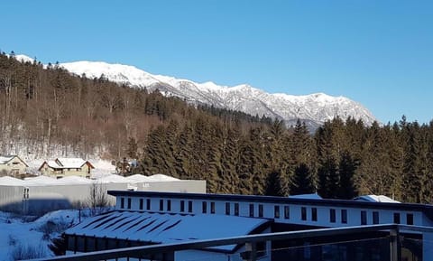 Studio Mountain View Condo in Sinaia