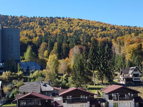 Natural landscape, Mountain view