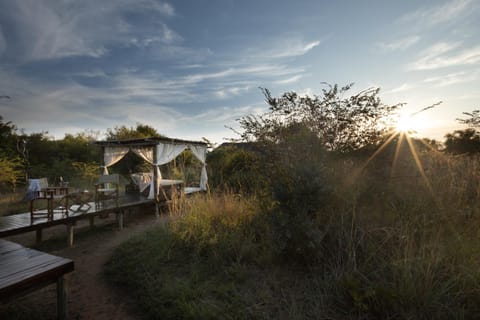 Safari Plains Albergue natural in South Africa