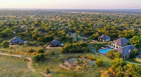 Safari Plains Lodge nature in South Africa