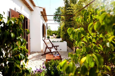 Balcony/Terrace, Garden view