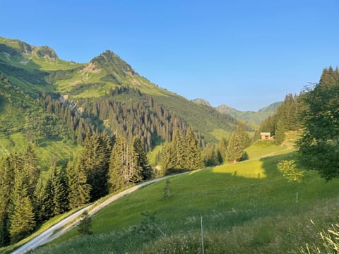 View (from property/room)