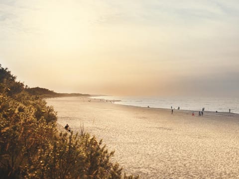 Nearby landmark, Restaurant/places to eat, Off site, Neighbourhood, Natural landscape, Beach, Pets, Supermarket/grocery shop