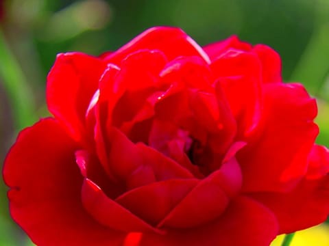 Stapelfeldt Apartment in Vorarlberg, Austria