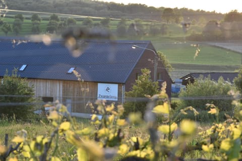 Wijndomein Zwaeneberg Bed and Breakfast in Flanders