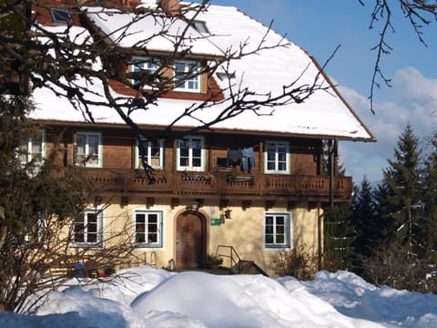 Property building, Winter