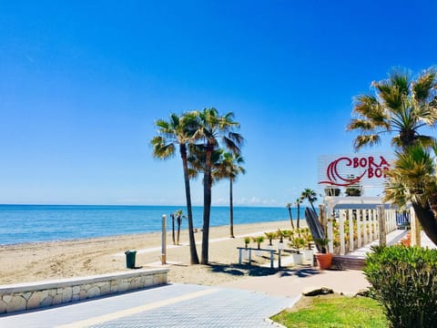 Nearby landmark, Neighbourhood, Beach