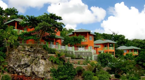 Pimento Lodge Resort Capanno nella natura in Portland Parish