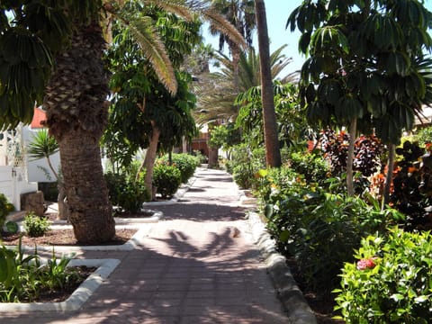 Beautiful Beachfront Copropriété in Playa de las Americas