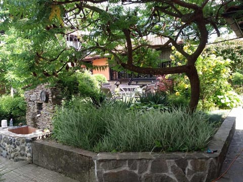 Patio, Dining area