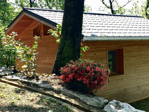 Rifugio Nel Bosco Apartment in Canton of Ticino