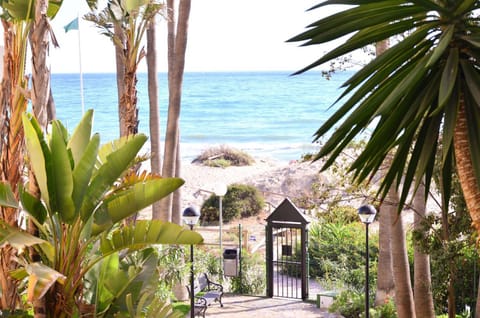 Natural landscape, Garden, Beach, Sea view