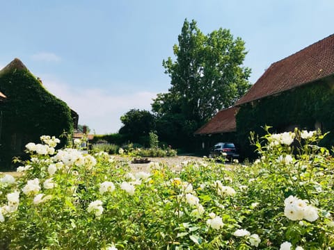 La Ferme des Roses Vacation rental in Hauts-de-France