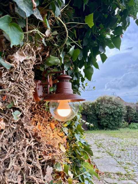 Inner courtyard view