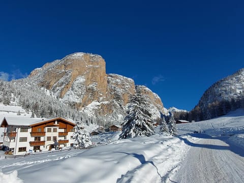 Property building, Natural landscape, Winter