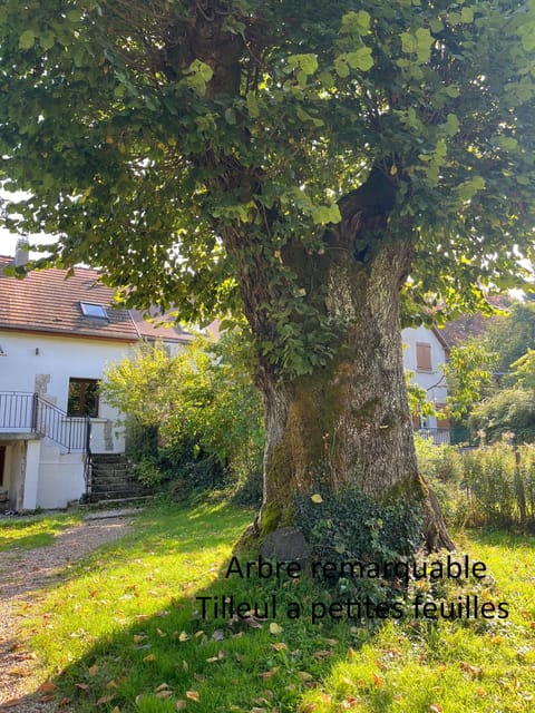 Natural landscape, Garden view