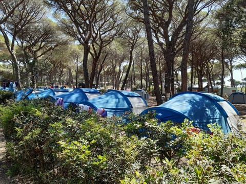 Camping Principina Parque de campismo /
caravanismo in Principina a Mare