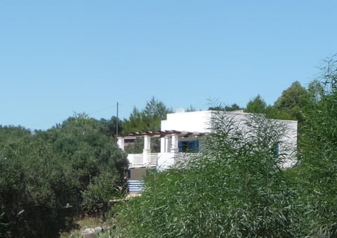 Appartamento Casa dell'Olivo House in Apulia
