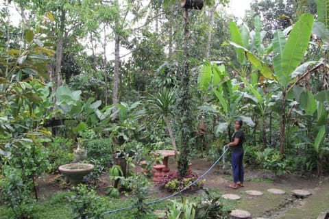 Jungle Joglo Country House in Tampaksiring