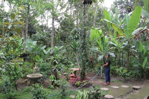 Inner courtyard view