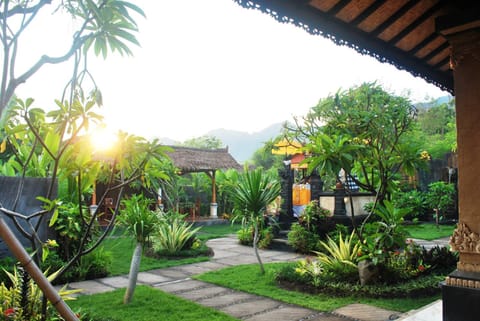 Garden, Balcony/Terrace