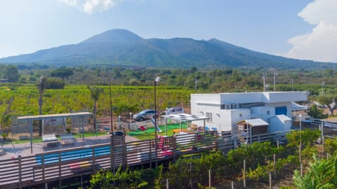 Tenuta sul Vesuvio " Il Vigneto " House in Campania