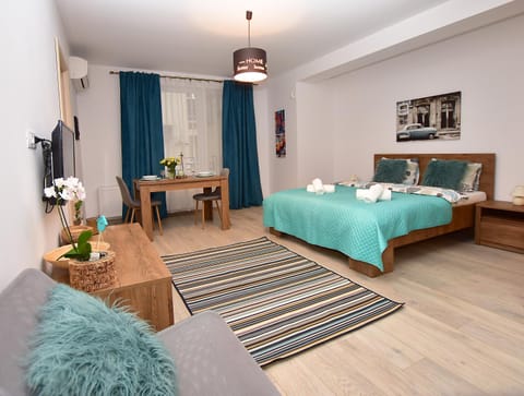 Near Cathedral Central Studio Apartment in Bucharest