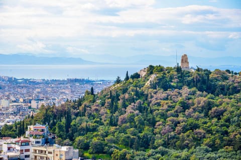 Nearby landmark, Natural landscape, Bird's eye view