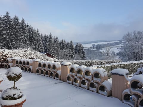 Die Alte Schule app Apartment in Wallonia, Belgium