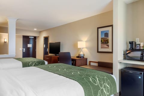 Comfort Inn & Suites Schenectady - Scotia Hotel in Scotia