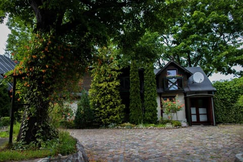 Property building, Day, Garden