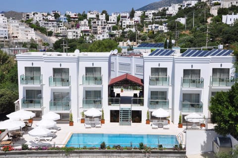 Bird's eye view, Pool view