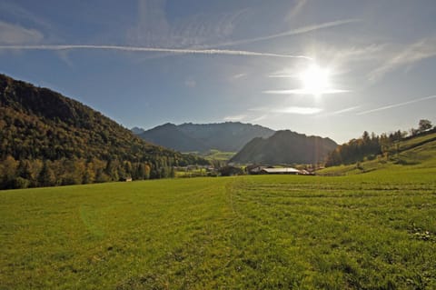 Natural landscape