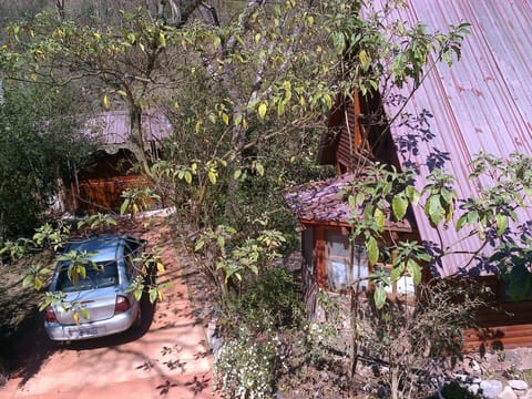 Natural landscape, Autumn, On site