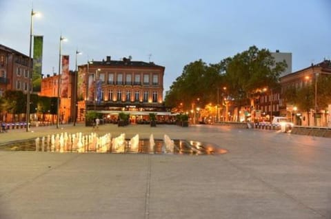 PIED A TERRE DE CHARME Condo in Albi