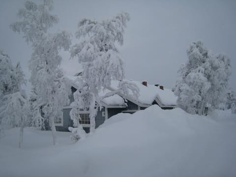 Saariselän Marjamajat House in Lapland