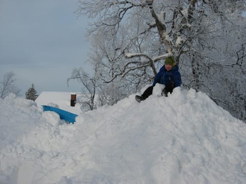 Saariselän Marjamajat House in Lapland