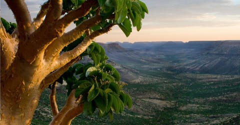 Natural landscape, View (from property/room)