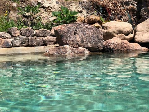 Natural landscape, Pool view, Swimming pool