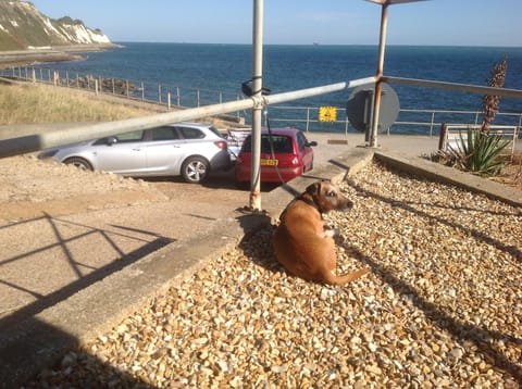 Angels Corner, Ventnor Bay House in Ventnor