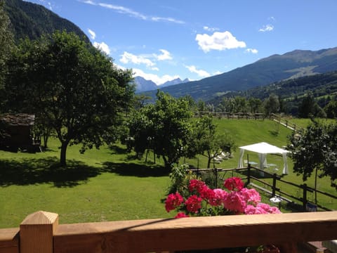 Garden view, Mountain view