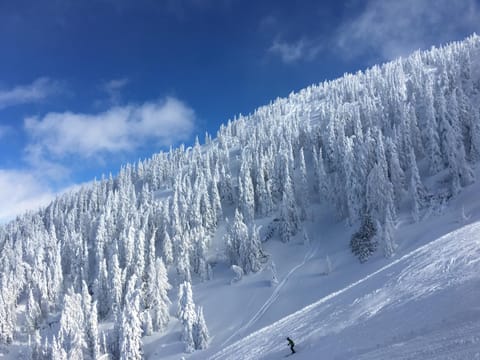 Winter, Skiing, Skiing, Mountain view