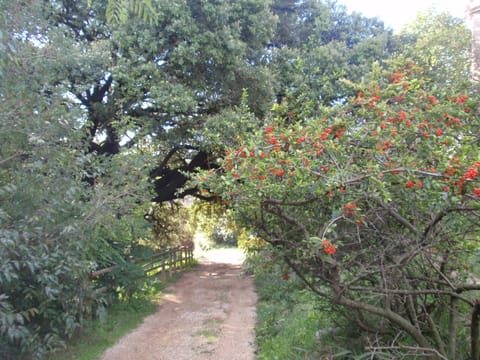 Hiking