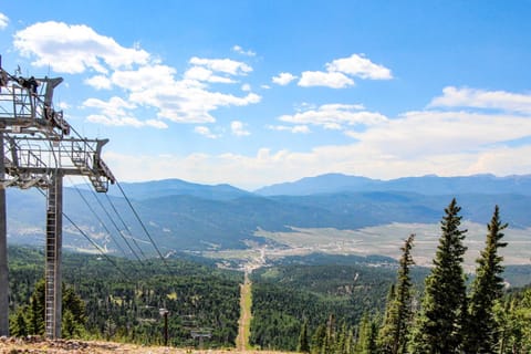 Gold Creek 306 Apartment in Angel Fire