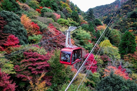 Natural landscape, Autumn