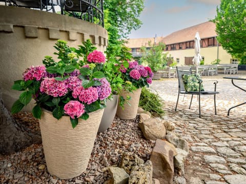 Property building, Patio, Spring, Day, Summer, Garden, Inner courtyard view