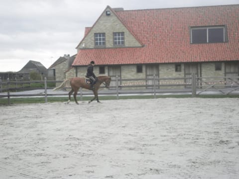 House Zoute Stables 125sqm in 5 Ha property near seaside in Knokke House in Knokke-Heist