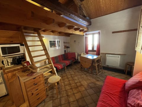 Studio cosy pour 2 pers à 300m des pistes, St Martin de Belleville - 19m², animaux admis - FR-1-452-141 Apartment in St Martin Belleville