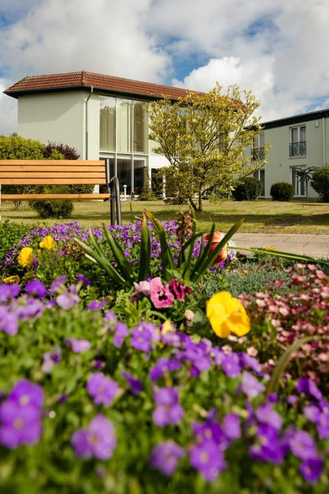 Property building, Patio, Garden