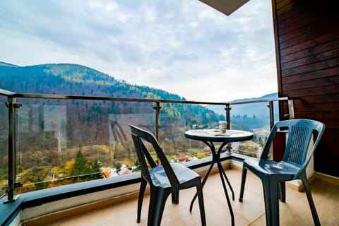 SinaiaMountainView - Panoramic Condo in Sinaia